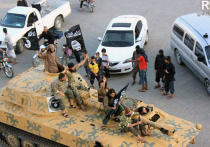 «Исламское государство» получило поддержку двух отделений «Аль-Каиды»