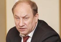 Комиссия Госдумы по этике не нашла иностранных счетов у депутатов