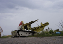 Неразбериха и паника на месте катастрофы малайзийского «Боинга»
