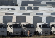 Второй гуманитарный конвой на Донбасс собирают при помощи иностранцев. Он повезет мобильники 