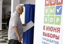 Избирательная страда в столице: кто посмеет выдвинуть соратников Навального?