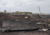 Минобороны Украины: Версия крушения "Боинга" из-за учений ПВО - абсолютный бред