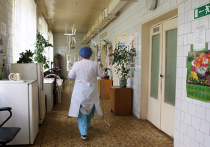 Случаев заражения в России смертельным вирусом Эбола не зафиксировано