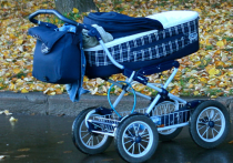 Спиленная ольха придавила коляску с младенцем в московском парке