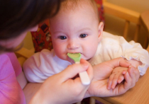 Полезно ли младенцам яблочное пюре?