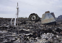 Независимое расследование: рейс MH-17 сбил самолёт