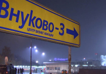 Водитель снегоуборщика из "Внуково": "Потерял ориентир", "не заметил, как выехал на взлётную полосу"