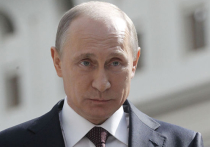 Яндекс, Mail и Путин поговорили экивоками: про интернет и корягу