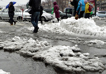 Насколько был опасен снег в Москве? В нем много цинка, но мало кадмия