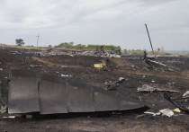 Гибель “Боинга” закончат расследовать в августе 2015 года