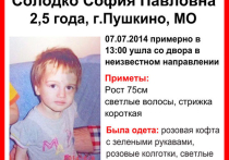 В Подмосковье житель Дагестана убил и закопал 2-летнюю дочь, а ее мать заявила, что девочка пропала