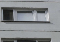ЧП в Подмосковье: юрист зарезал бабушку и выбросил в окно дочь, возомнив себя властелином мира