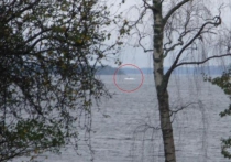 Швеция опубликовала фото неопознанной подлодки, её поиски продолжаются
