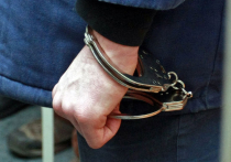 Престарелый маньяк с 30-летним стажем арестован на два месяца