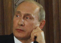 Путин укорил членов Общественной палаты на примере своего костюма