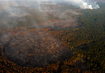 Для тушения лесных пожаров будут использовать систему космического мониторинга