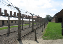 Один из освободителей «Освенцима» Иван Мартынушкин: «При приближении к лагерю, мы постоянно ощущали совершенно особый смрад»
