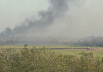 Чтобы чужие боялись: украинцы уничтожили своих же солдат в аэропорту Донецка