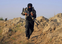 Боевики ИГ казнили иракского журналиста и с ним еще троих пленников