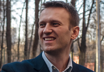 Инициатива Навального о «незаконном обогащении» натолкнулась на отсутствие кворума