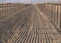 Украинцы уже выкопали ров в 80 км на границе с РФ 