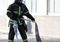 Пожар в Забайкалье тушат роботы МЧС с ножами и руками