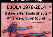 Лихорадку Эбола вылечил новый препарат Zmapp