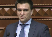 Глава МИД Украины рассказал, кто на Донбассе попадет под амнистию