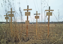 Древние кладбища на знаменитых Бурковских полях хотят уничтожить коммерческими многоэтажками