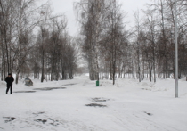 Площадь рекреационных территорий в Нижнем Новгороде по-прежнему не дотягивает до нормативов