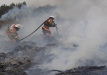 Пожары в Тверской области тушат десантники