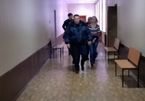 В Подмосковье вынесли приговор матери-отравительнице двоих детей