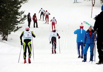 Чемпионат мира по лыжным гонкам вновь улыбнулся норвежкам