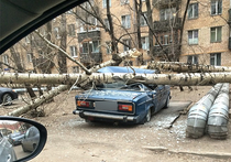 В Москве бушует стихия: ураган повалил десятки деревьев, повреждены электролинии