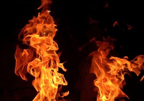 Трое человек, сгоревших в авто на востоке Москвы, сами подожгли салон