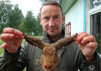 Тренера-браконьера на Алтае отдали под суд за циничные селфи с охотничьими трофеями