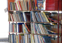 Школьная библиотека уместится в нескольких книгах