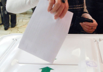 Как будут голосовать на выборах в Раду  Донбасс и Луганская область? 
