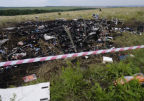 Опубликован предварительный доклад о катастрофе малайзийского «Боинга»: самолет развалился в воздухе из-за попадания «высокомощных объектов»