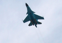Ополченцы сбили украинский истребитель Су-27