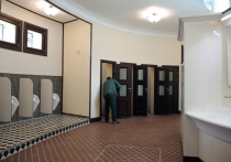 В парке Горького восстановили высокохудожественный общественный туалет