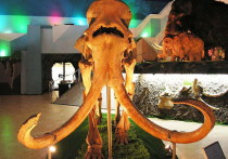 На ВДНХ закрыт уникальный музей мамонтов