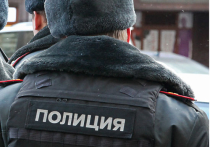Раскрыто убийство подростка в Москве: его хотели похитить ради квартиры