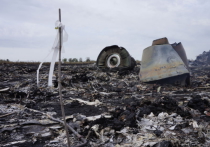 Место падения Боинга частично взято под контроль украинской армией
