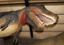 В Мексике обнаружено крупнейшее в мире кладбище динозавров