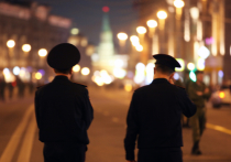 МВД заказало опрос россиян о работе полиции