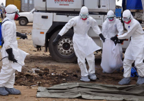 Лихорадка Эбола взвинтила цены на продукты 