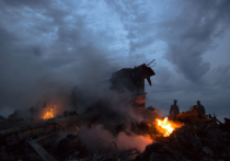 Новая версия трагедии: украинские ПВОшники целились в «сушку», а попали в гражданский самолет