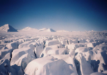 Россия может увеличить свою площадь на 1,2 млн км за счет Арктики