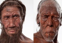 Неандертальцы соседствовали и смешивались с людьми несколько тысяч лет